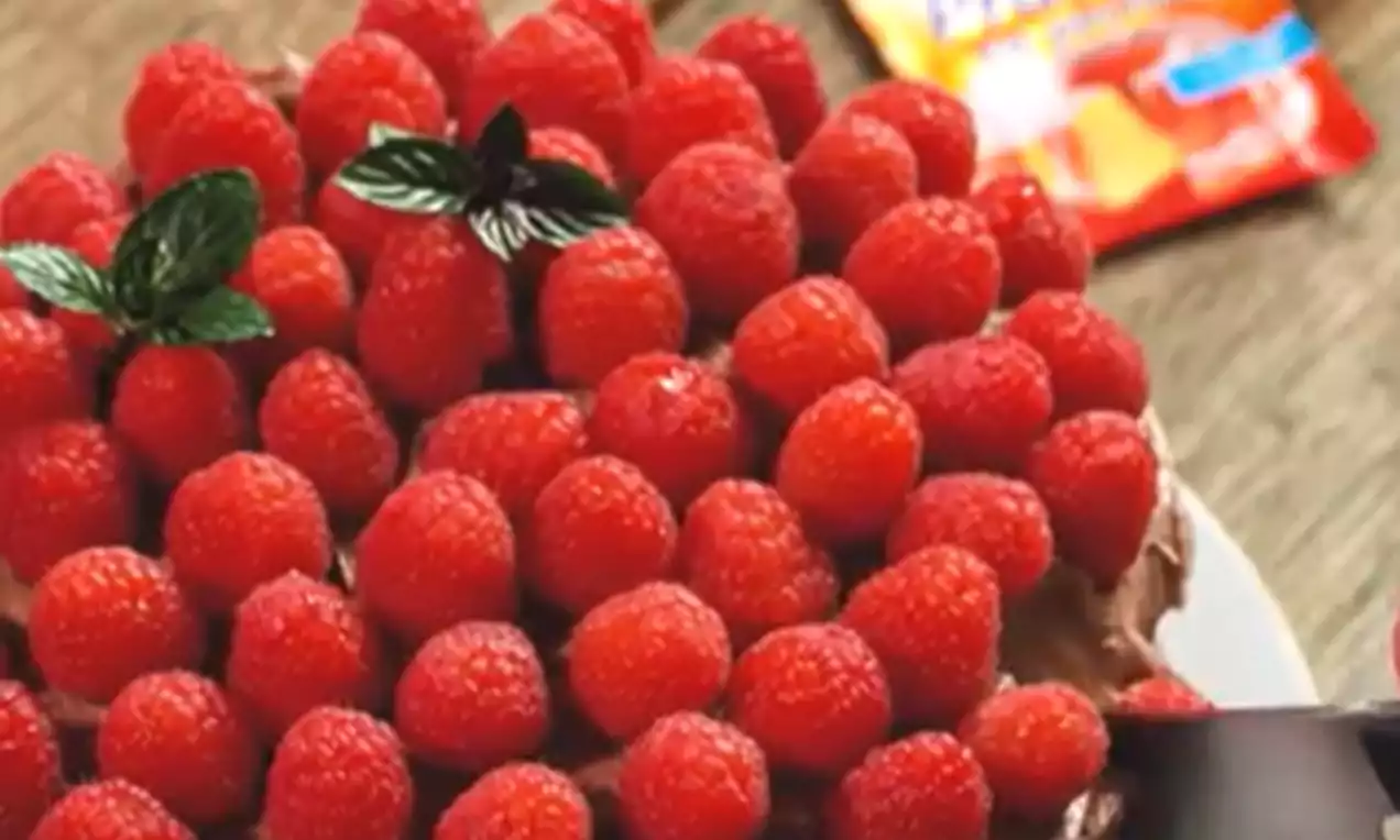 Torta od tamne čokolade s čokoladnom kremom, gusto prekrivena svježim crvenim malinama i ukrašena listićima zelene mente na bijelom tanjuru