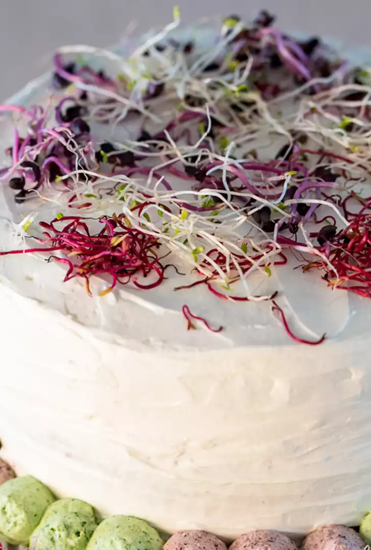 sandwich cake fashion a misura 1.jpg