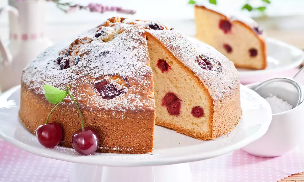 Ciasto biszkoptowe złociste z zatopionymi wiśniami, oprószone cukrem pudrem, na białej paterze z dodatkiem świeżych czereśni i dekoracją kwiatów