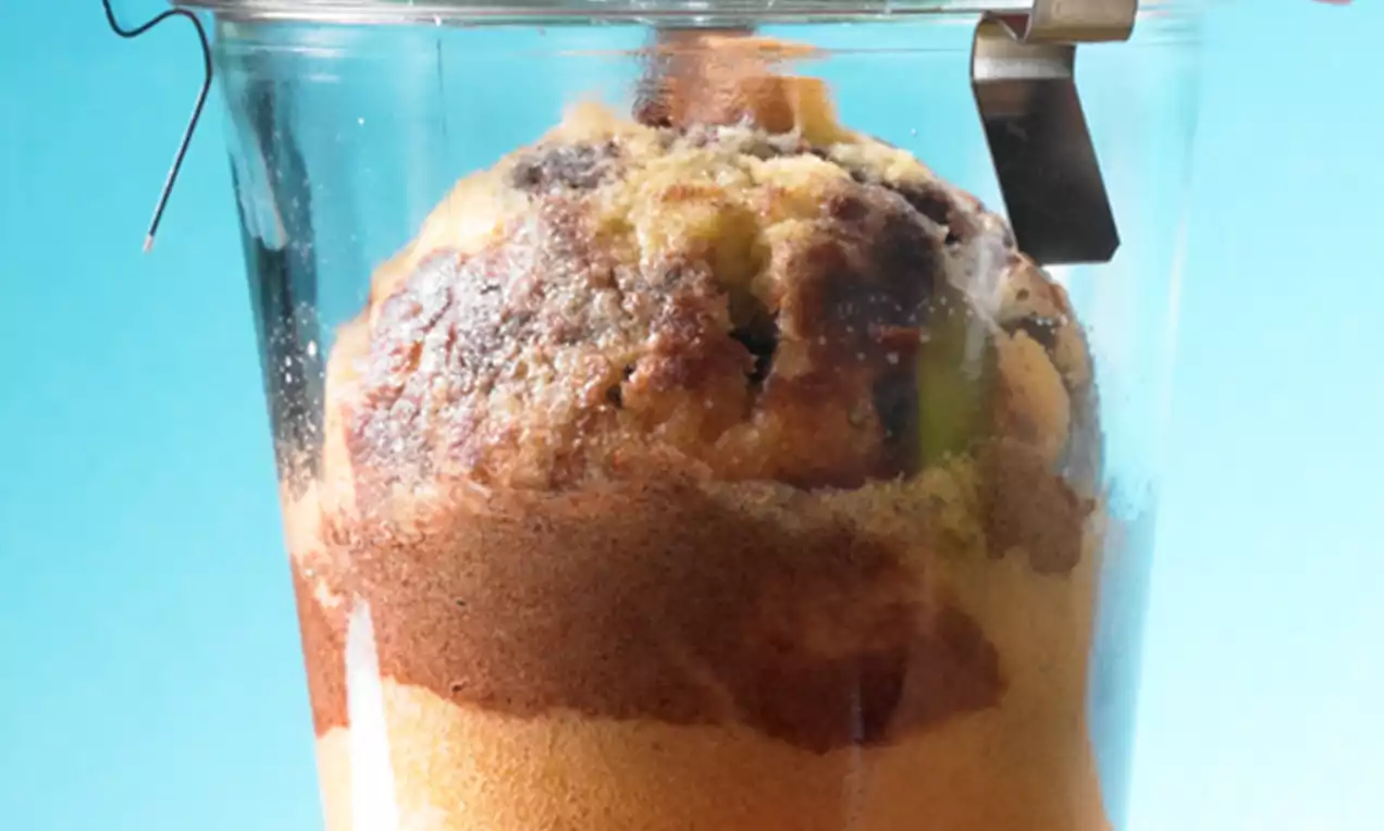 Marmorkuchen mit goldbrauner Kruste und heller Marmorschicht in einer transparenten Glaskonserve, daneben Kakaopulver auf hellem Holz