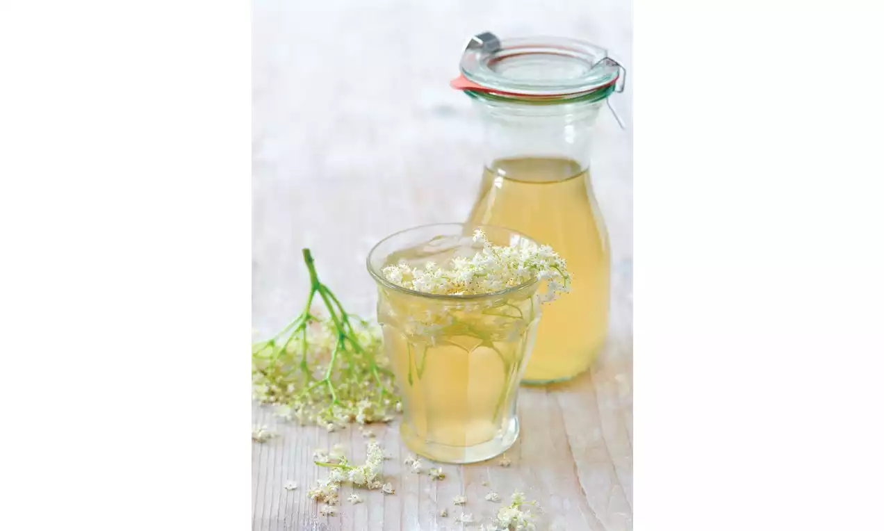 Sklenice a karafa jemně zlatavého bezinkového sirupu na dřevěném stole, ozdobené čerstvými květy bezinek vedle zelené větvičky