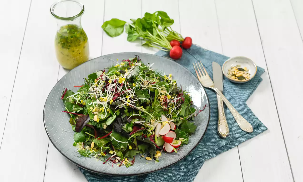 Frischer grüner Salat mit Radieschenscheiben, Sprossen und gehackten Nüssen auf grauem Teller, daneben Vinaigrette in Glasflasche