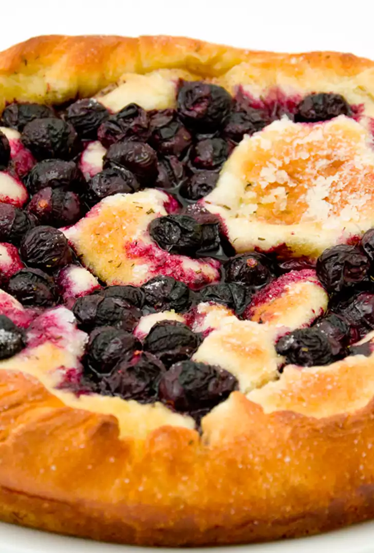 Schiacciata all'uva.jpg