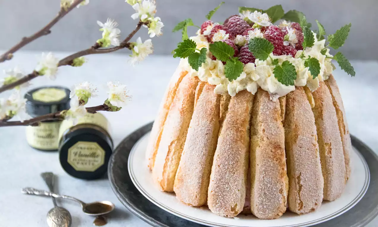 Charlotte Russe med höga, sockrade kex runtom, fylld med gul kräm, toppad med grädde, hallon och citronmeliss på en vit tallrik