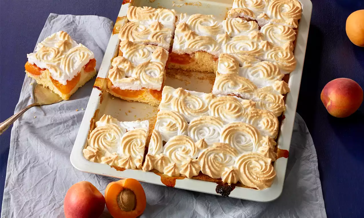 Saftiger Marillenfleck auf hellem Biskuitboden, bedeckt mit goldbraun geflämmter Baiserhaube, serviert in einer weißen Backform mit frischen Marillen