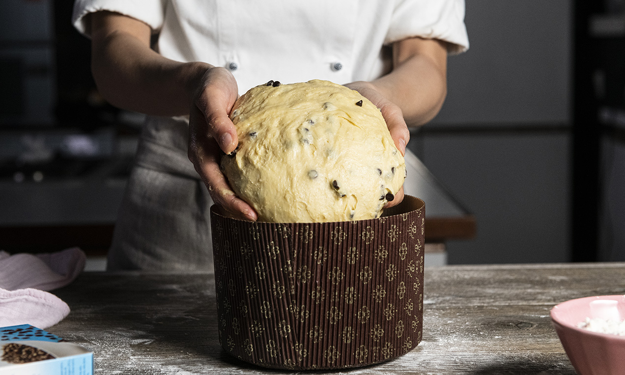 Step_panettone casalingo al cioccolato (11)