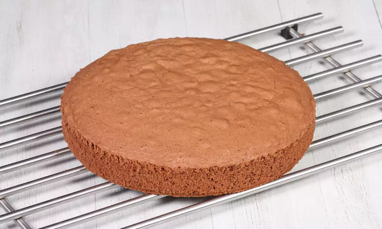 Yuvarlak biçimli, hafif kabarık ve pürüzsüz yüzeyli kahverengi kakaolu pandispanya, metal bir ızgara üzerinde tamamen soğumuş durumda