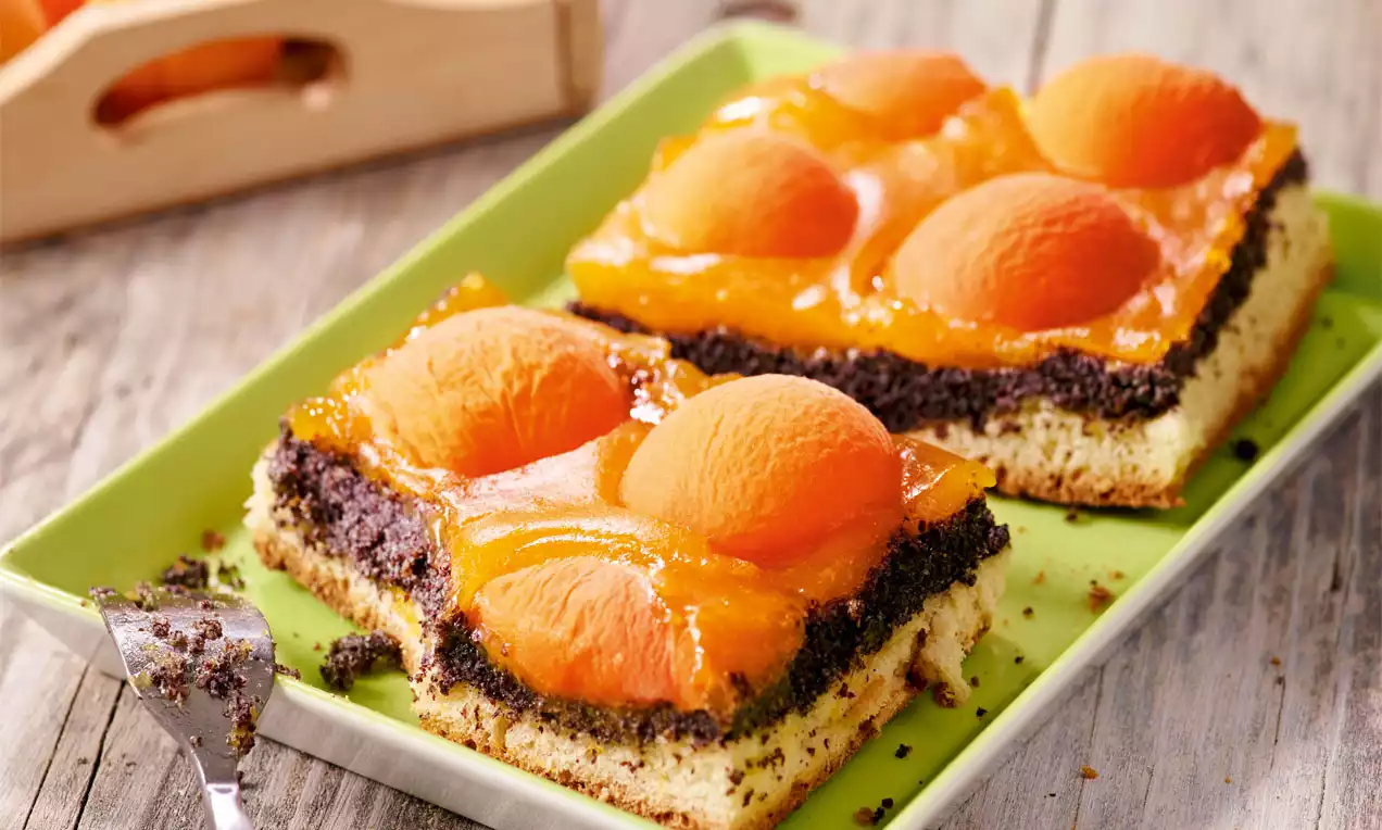 Mohn-Marillen-Kuchen auf grünem Teller mit saftigen orangefarbenen Marillenhälften auf schwarzer Mohnschicht und hellem Rührteig