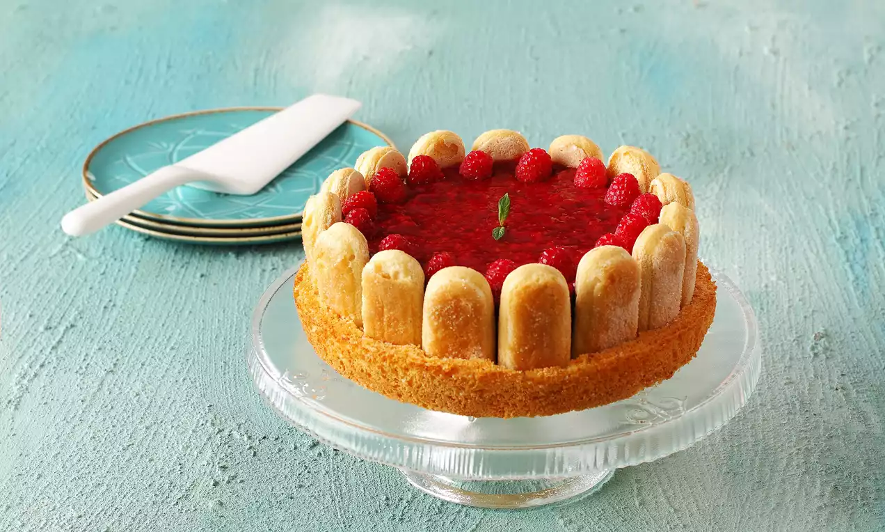 Kedidili bisküvilerle çevrili, altın rengi taban üzerinde parlak kırmızı orman meyveli puding ve üstünde nane yaprağı bulunan pasta